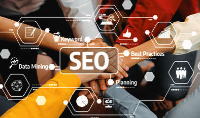 Website Search